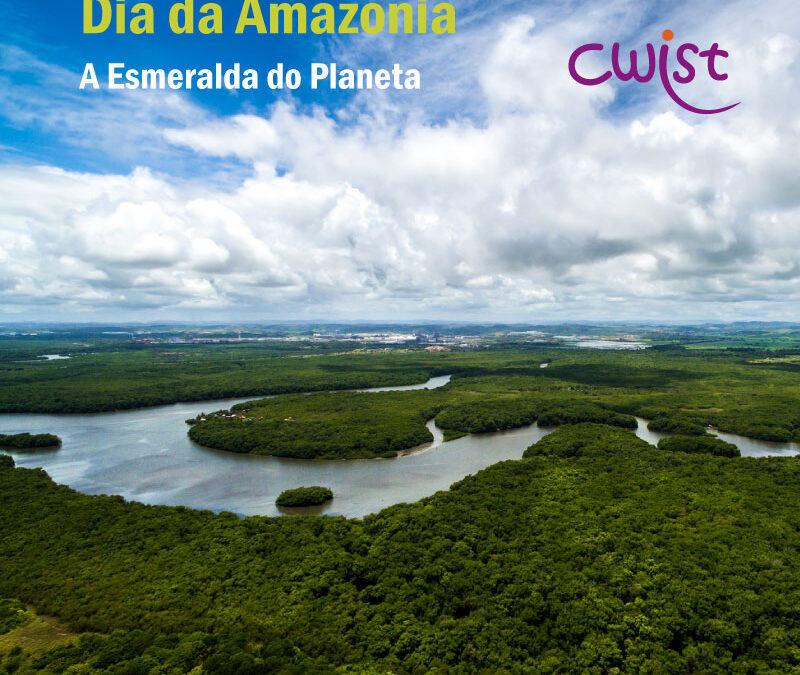 Dia da Amazônia